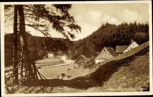 Ak Schulenberg Clausthal Zellerfeld im Oberharz, Partie in Ober-Schulenberg