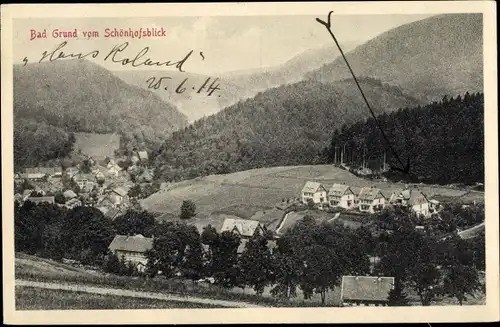 Ak Bad Grund im Harz, Ort vom Schönhofsblick