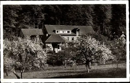 Ak Nieder Beerbach Mühltal im Odenwald, Gasthaus zur Waldmühle