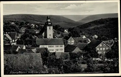 Ak Vielbrunn Michelstadt im Odenwald, Gesamtansicht