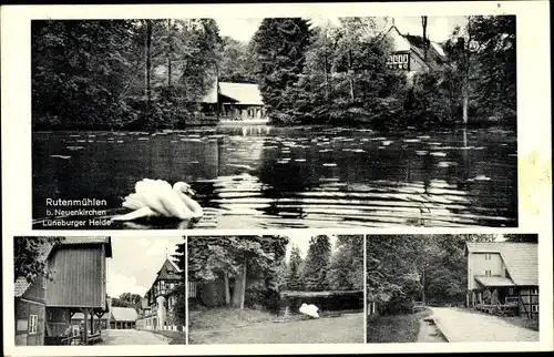 Ak Neuenkirchen in der Lüneburger Heide, Rutenmühlen, Dorfpartie, Schwan auf dem See