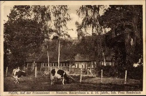 Ak Plön in Holstein, Prinzeninsel, Nieders. Bauernhaus aus dem 16. Jahrhundert