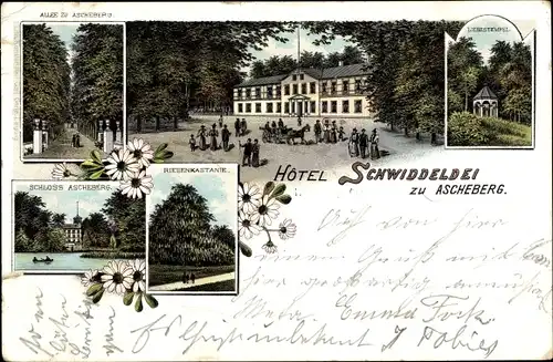 Litho Ascheberg in Holstein, Hotel Schwiddeldei, Liebestempel, Riesenkastanie, Allee, Schloss