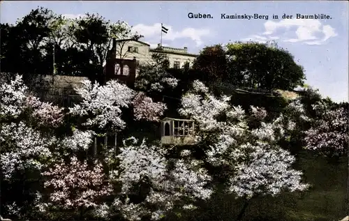 Ak Guben in der Niederlausitz, Kaminsky Berg in der Baumblüte