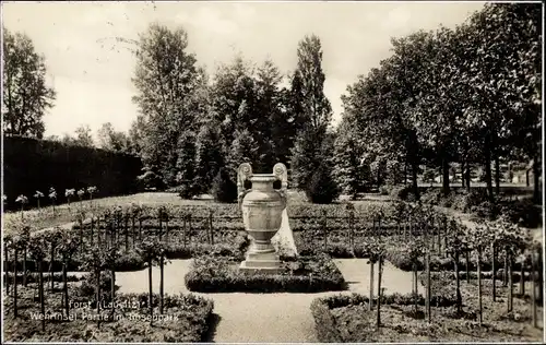 Ak Forst in der Niederlausitz, Partie auf der Wehrinsel, Inselpark