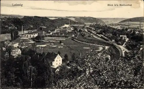 Ak Leisnig in Sachsen, Blick auf den Ort, Muldental