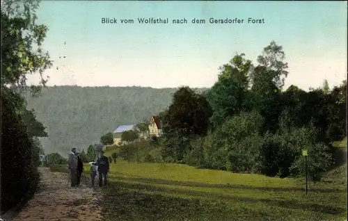 Ak Roßwein in Sachsen, Blick vom Wolfstal nach dem Gersdorfer Forst