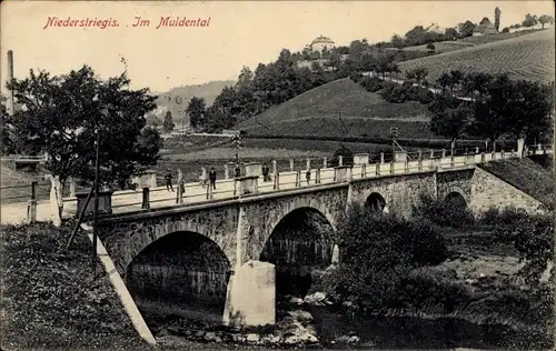 Ak Niederstriegis Roßwein in Sachsen, Partie im Muldental, Brücke