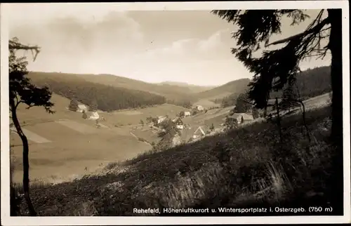 Ak Rehefeld Zaunhaus Altenberg im Erzgebirge, Gesamtansicht