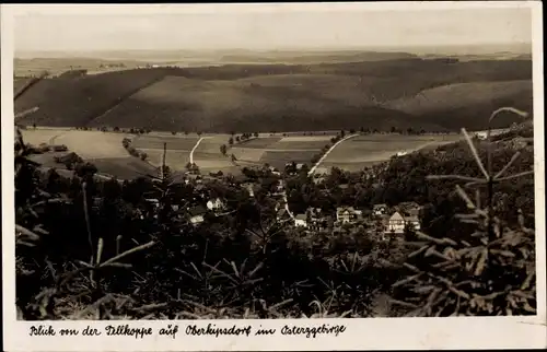 Ak Oberkipsdorf Altenberg im Erzgebirge, Panorama, Tellkoppe