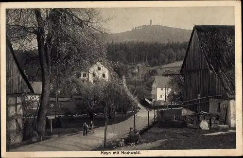 Ak Hayn Oybin Oberlausitz, Hochwald, Straßenpartie