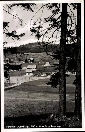 Ak Rehefeld Zaunhaus Altenberg im Erzgebirge, Gesamtansicht