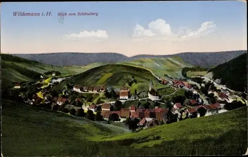 Ak Wildemann Clausthal Zellerfeld im Oberharz,, Blick vom Schöneberg