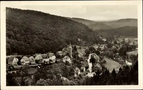 Ak Altenbrak Thale im Harz, Panorama vom Ort