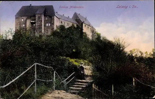Ak Leisnig in Sachsen, Schloss Mildenstein