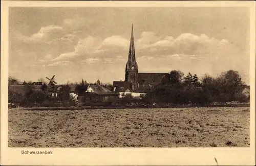 Ak Schwarzenbek in Lauenburg, Teilansicht mit Kirche