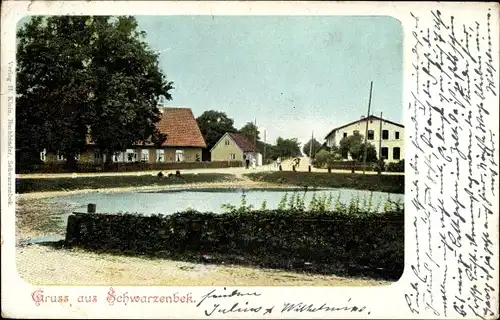 Ak Schwarzenbek in Lauenburg, Dorfpartie mit Teich