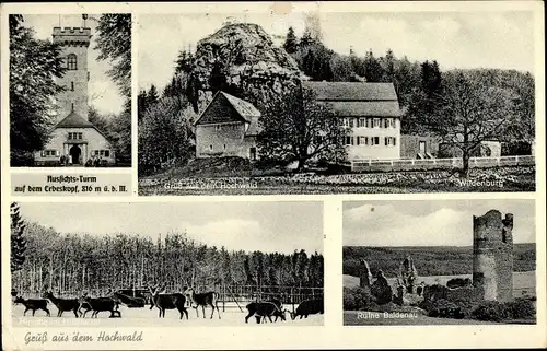 Ak Hilscheid in Rheinland Pfalz, Aussichtsturm auf dem Erbeskopf, Hochwald, Ruine Baldenau