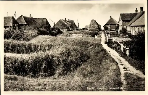 Ak Hallig Hooge in Nordfriesland, Hanswarf