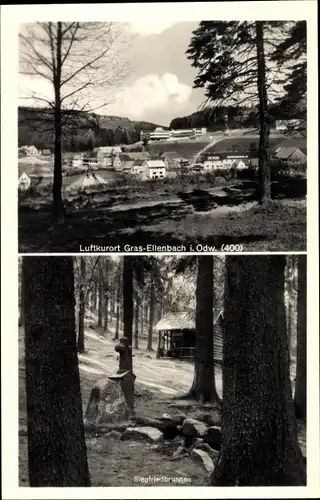 Ak Grasellenbach im Odenwald, Teilansicht, Siegfriedbrunnen