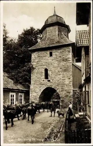 Ak Stolberg Südharz, Viehtrieb durchs alte Tor