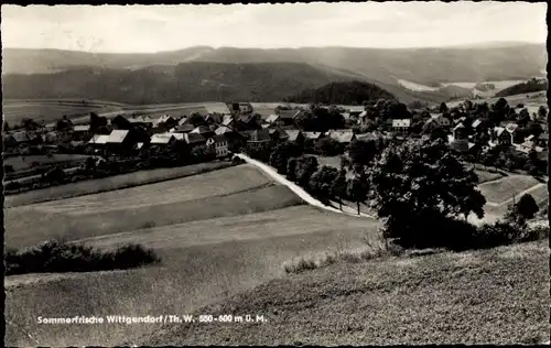 Ak Wittgendorf Thüringen, Panoramaansicht, Dorfstraße, Wiesen