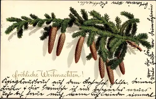 Ak Glückwunsch Weihnachten, Tannenzweig mit Zapfen