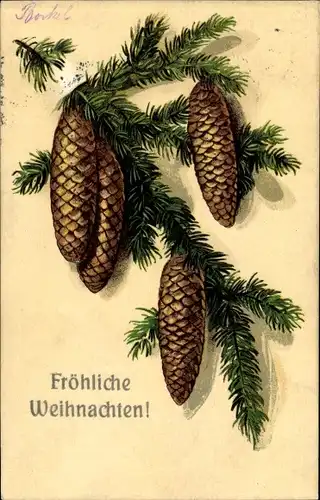 Präge Litho Glückwunsch Weihnachten, Tannenzweige mit Zapfen