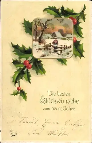 Passepartout Ak Glückwunsch Neujahr, Winterlandschaft, Stechpalmenzweige