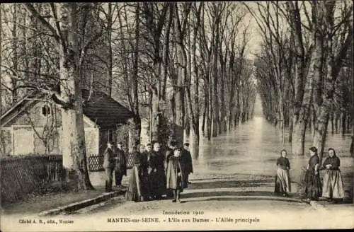 Ak Mantes sur Seine Yvelines, L'Ile aux Dames, L'Allee principale