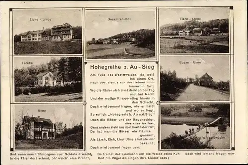 Ak Hohegrethe Pracht im Westerwald, Panorama, Eiche Linde, Lärche, Ulme, Wippelbrücke