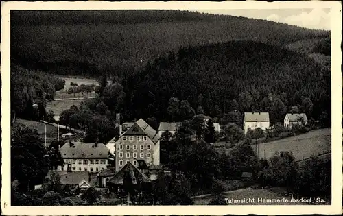 Ak Hammerleubsdorf Leubsdorf in Sachsen, Talansicht