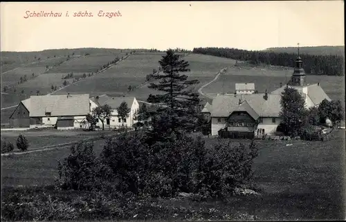 Ak Schellerhau Altenberg im Erzgebirge, Panorama