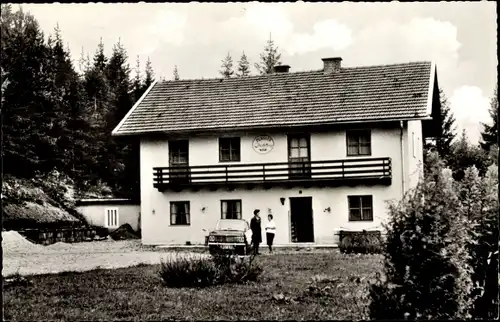 Ak Viechtach im Bayerischen Wald Niederbayern, Pension Distelberg