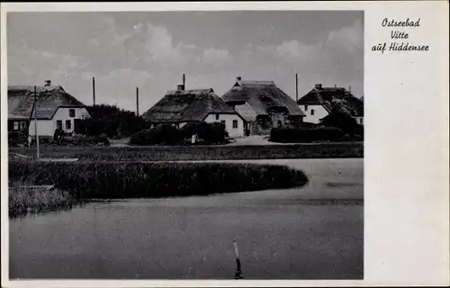 Ak Vitte Insel Hiddensee, Reetdachhäuser