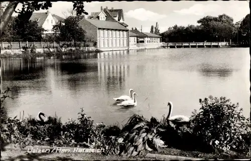 Ak Uelzen in Niedersachsen, Blick auf den Ratsteich, Schwäne