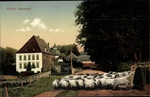 Ak Lüdenscheid im Märkischen Kreis, Schloss Neuenhof, Schafhirte mit Herde