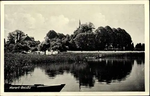 Ak Bosau in Ostholstein, Seeblick