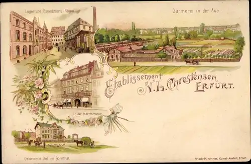 Litho Erfurt in Thüringen, Etablissement N. L. Chrestensen, Gärtnerei, Lager, Ökonomiehof, Marktstr.