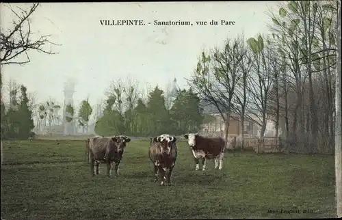 Ak Villepinte Seine Saint Denis, Sanatorium, Vue du Parc