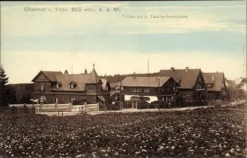 Ak Oberhof im Thüringer Wald, Villen an der Tannbacher Straße