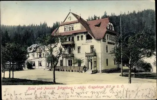 Ak Bärenburg Altenberg im Erzgebirge, Hotel Pension Bärenburg