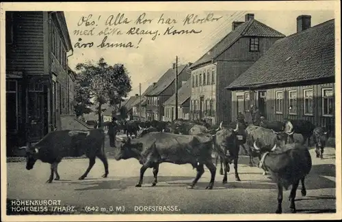 Ak Hohegeiß Braunlage im Oberharz, Dorfstraße