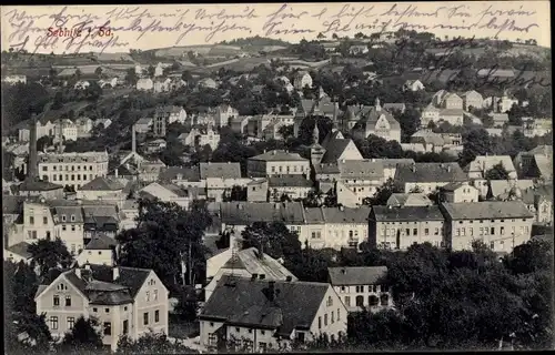 Ak Sebnitz in Sachsen, Panorama