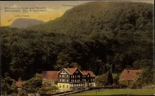 Ak Steinbergen Rinteln in Niedersachsen, Wolbrechts Hotel, Pension, Hirschkuppe, Luhd Klippe