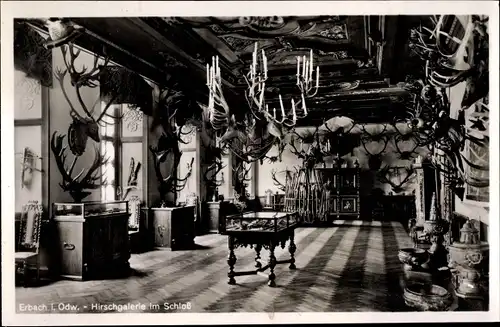 Ak Erbach im Odenwald Hessen, Hirschgalerie, Schloss