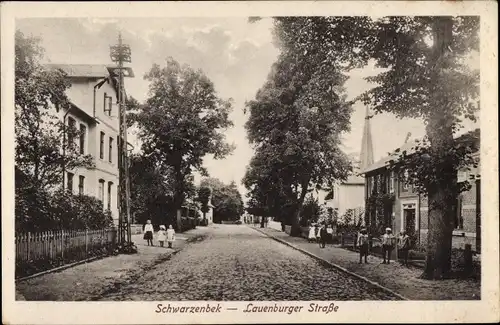 Ak Schwarzenbek in Lauenburg, Lauenburger Straße