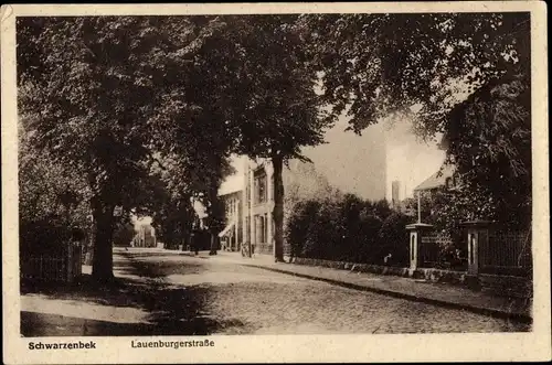 Ak Schwarzenbek in Lauenburg, Lauenburger Straße