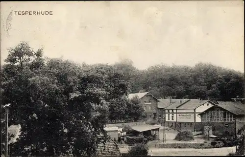 Ak Tesperhude Geesthacht an der Elbe, Teilansicht der Ortschaft, Gasthof