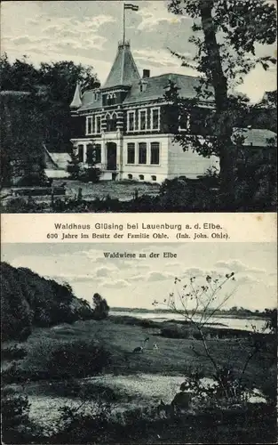 Ak Glüsing Schnakenbek in Lauenburg, Waldhaus Glüsing, Waldwiese an der Elbe